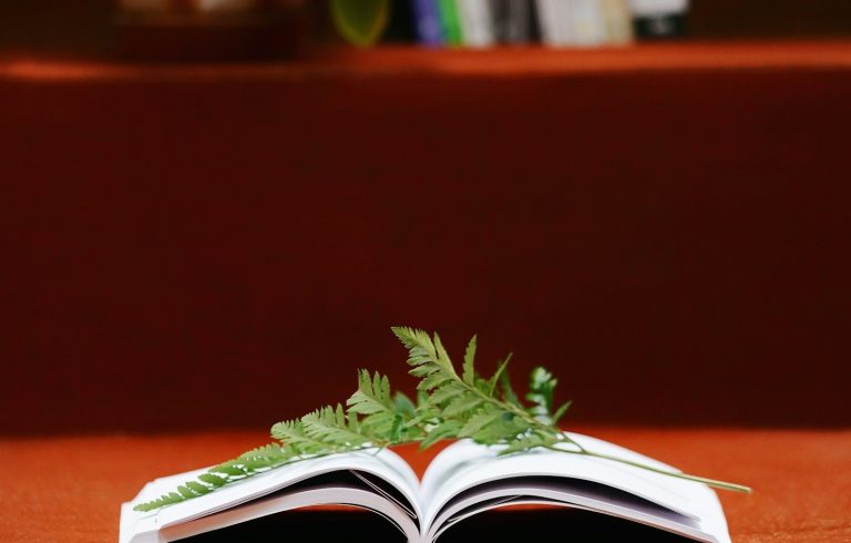 Counselling Courses